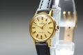 1974 Near MINT OMEGA Geneve 20mm 511.0451 Manual Wind Gold Dial Women's Vintage