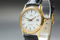 1984 Near MINT OMEGA Seamaster 33mm 196.0251 Quartz White Roman Men's Vintage