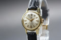 Serviced 1958 OMEGA Seamaster 10997 21mm Manual Champagne Women's Vintage Exc+5