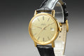 1977 Near MINT OMEGA Seamaster 35mm 166.0202 Automatic Gold Dial Men's Vintage